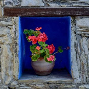 Blue colored alcove with flowers