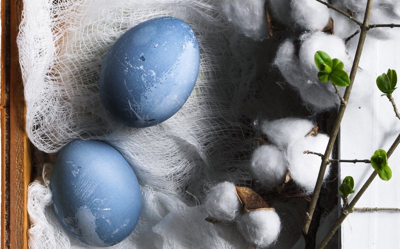 Blue-colored Easter eggs arrangement