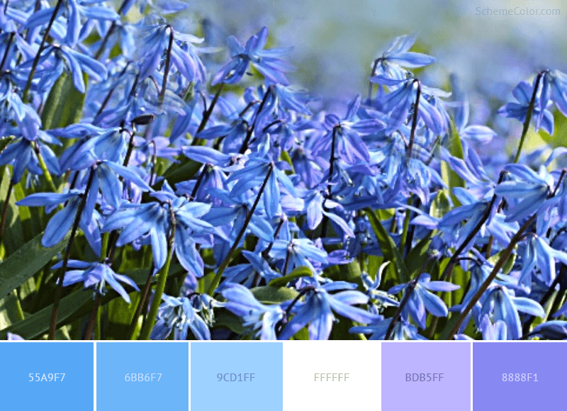 Blue Spring Flowers - Color scheme with color code