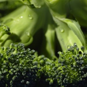 Broccoli Green