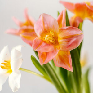 Bunch of Flowers - Image