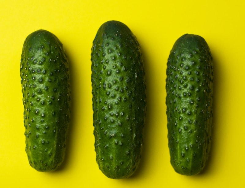 Cucumbers on yellow background