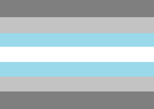 Demiboy Flag Preview