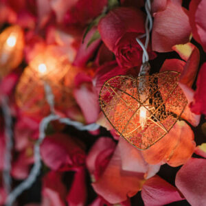 Fairy Lights with Roses - Image