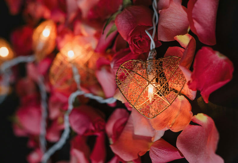 Fairy Lights with Roses Image