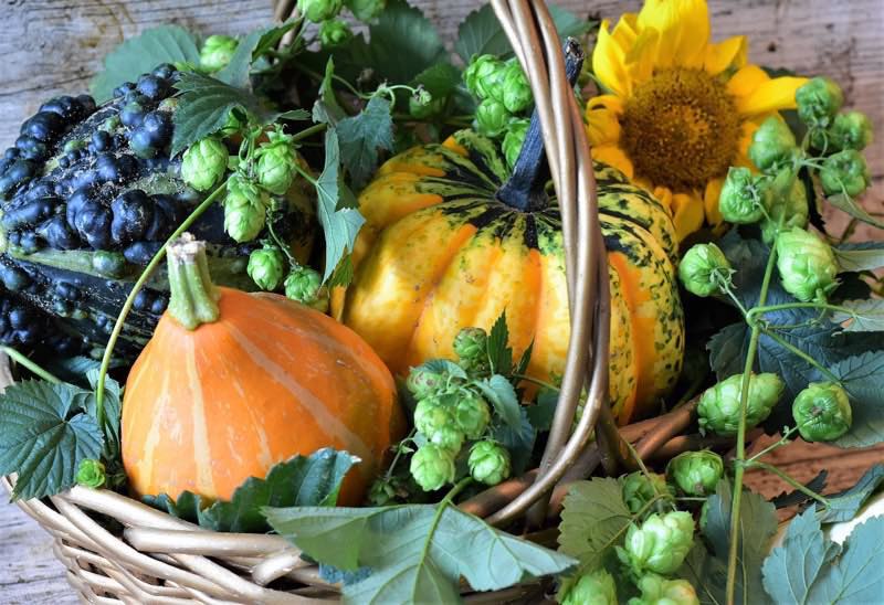 Fall (Autumn) basket