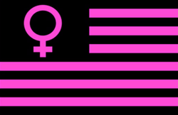 Feminism flag