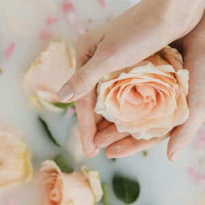 Girl holding a Rose - Image