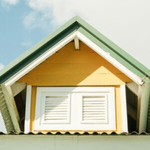 House with a Green Roof - Image