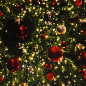 Inside the Christmas tree