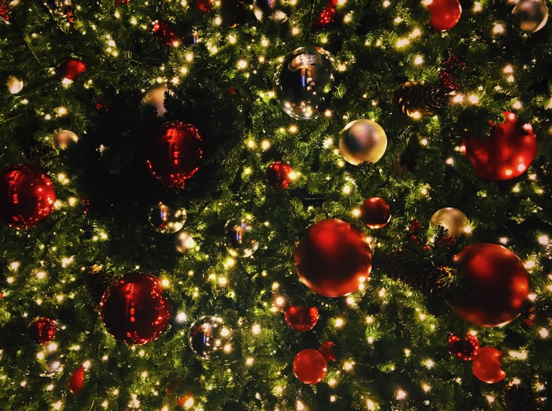 Inside the Christmas tree