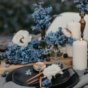 Lunch with Blue Theme - Image