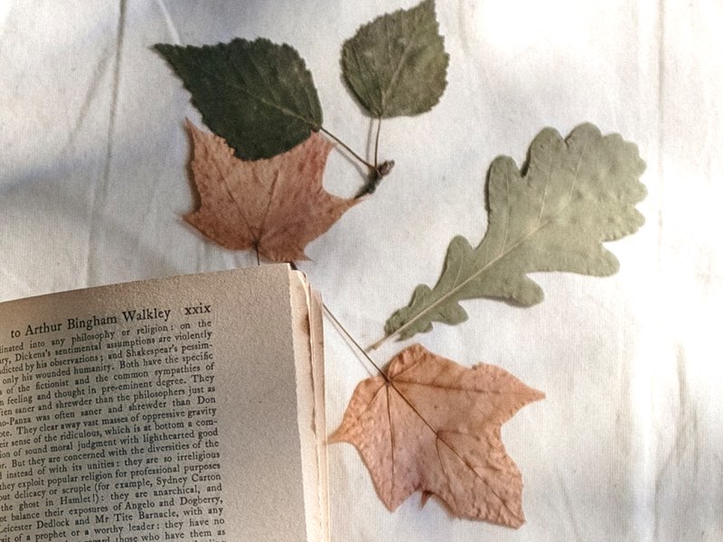 Old Leaves and Book