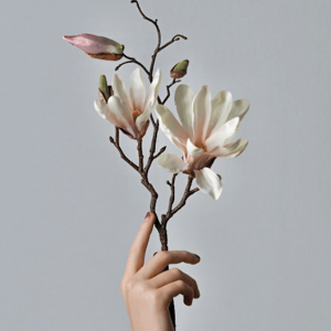 Person Holding Flower