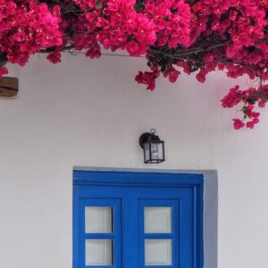 Pink Flowers, Blue Door
