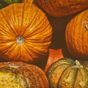 Pumpkin season - pumpkins in the fall