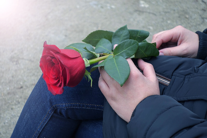 Red Rose for Lover