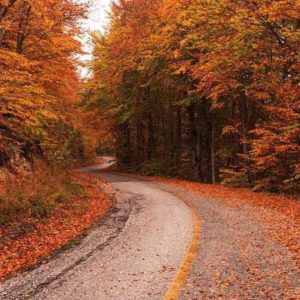 Road in autumn (fall)