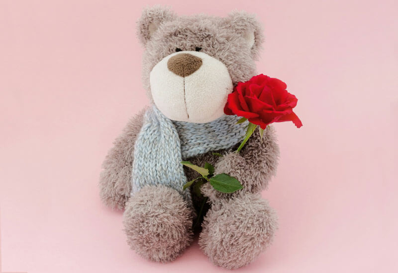 Teddy Bear with a Rose Image