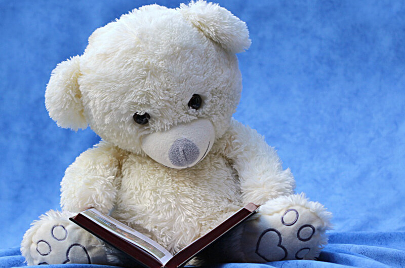 Teddy Read a Book