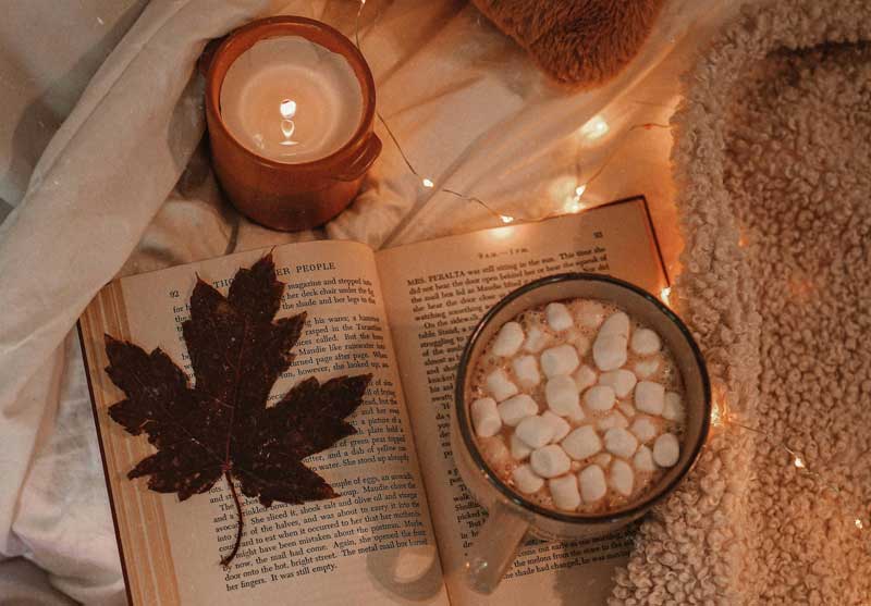 Warm Book Vibes Image