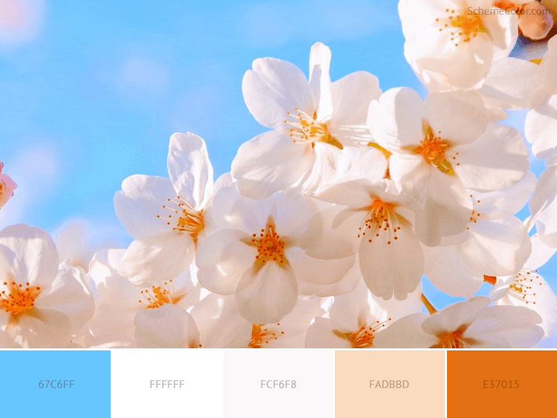 White Spring Flowers - color scheme with color codes