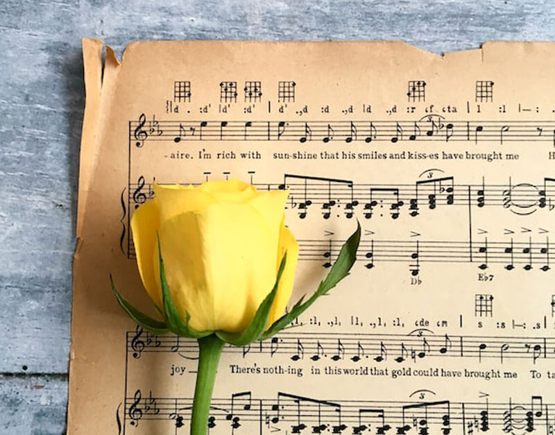 Yellow Rose on Musical Note